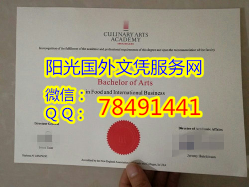 Culinary Arts Academy Diploma��ʿ��������ʳ����������ѧ��ҵ֤�鰸��