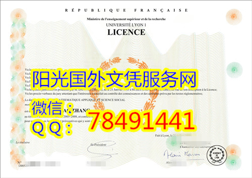 Universit�� Claude Bernard Lyon 1 Diploma�����ﰺ��һ��ѧ��ҵ֤��