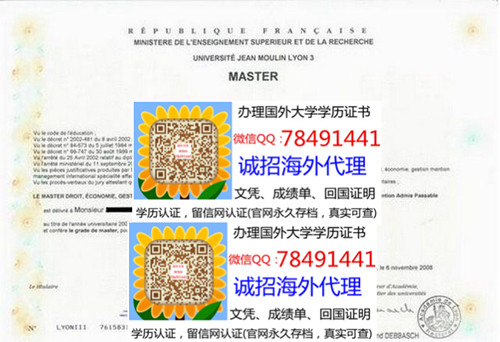 Universit�� Lyon 3 Diploma�����ﰺ������ѧ��ҵ֤��