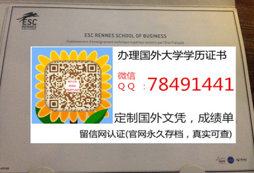 Rennes School of Business Diploma�����׶��ߵ���ѧԺ��ҵ֤��