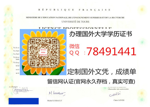 Universit�� de Tours François Rabelais Diploma����ͼ����ѧ��ҵ֤��