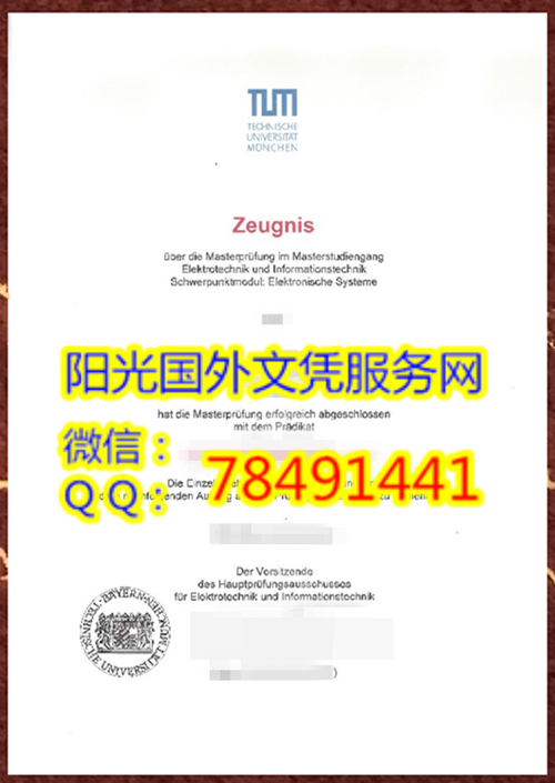 Technische Universität M��nchen Diploma�¹�Ľ��ڹ�ҵ��ѧ��ҵ֤��