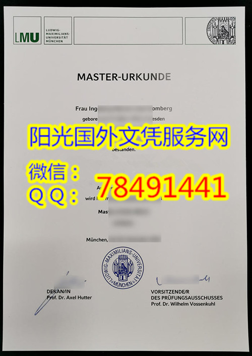 Ludwig-Maximilians-UniversitätM��nchen Diploma�¹�Ľ��ڴ�ѧ��ҵ֤��