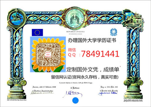 University of Ancona Diploma�����������������ѧ��ҵ֤��