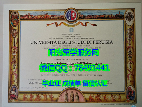 University of Perugia Diploma�������³�ִ�ѧ��ҵ֤��