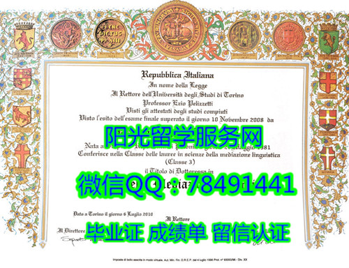 Universit�� degli Studi di Torino Diploma����������ѧ��ҵ֤��