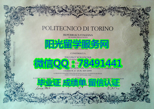Politecnico di Torino Diploma���������������ѧ��ҵ֤��