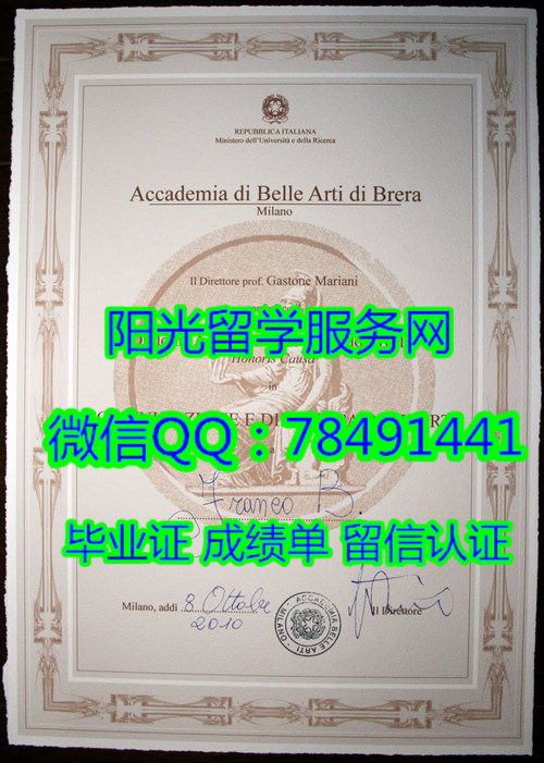 Accademia di Belle Arti di Brera Diploma�����������������ѧԺ��ҵ֤��
