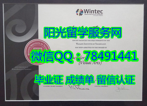 Waikato Institute of Technology Diploma����������������ѧԺ��ҵ֤��