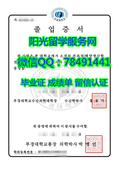 Pukyong National University Diploma���������ѧ��ҵ֤��
