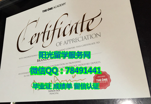 The One Academy Diploma�������������������ѧԺ��ҵ֤��