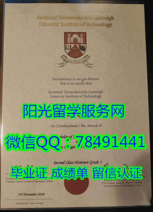 Limerick Institute of Technology Diploma��Ī�������ѧԺ��ҵ֤��