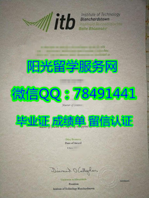 Institute of Technology, Blanchardstown Diploma������˹������ѧԺ��ҵ֤��