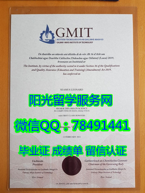 Galway-Mayo Institute of Technology Diploma����÷������ѧԺ��ҵ֤��