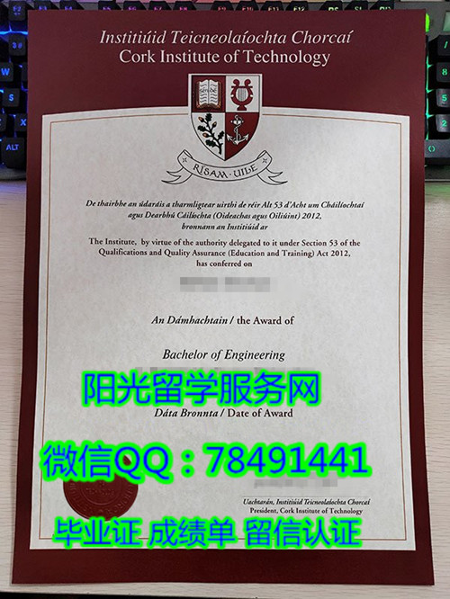 Cork Institute of Technology Diploma�������ƿ�����ѧԺ��ҵ֤��