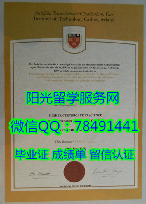 Institute of Technology Carlow Diploma��������ѧԺ��ҵ֤��