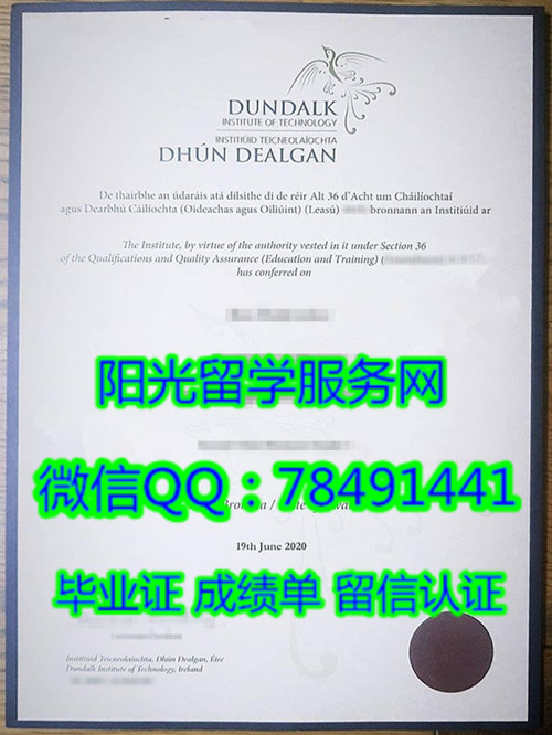 Dundalk Institute of Technology Diploma�Ƶ�������ѧԺ��ҵ֤��