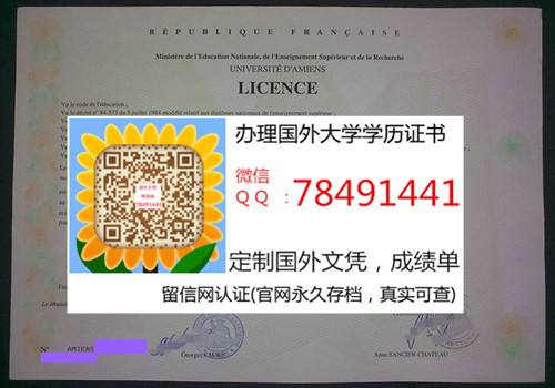 Universit�� d'Amiens Diploma�������ߴ�ѧ��ҵ֤��
