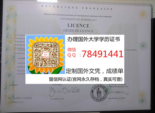 Universit�� de la M��diterran��e: Aix-Marseille 2 Diploma�����ڶ���ѧ��ҵ֤��