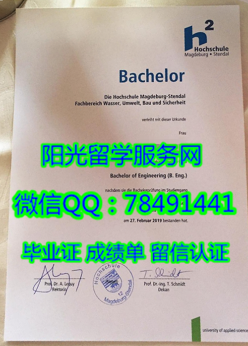 Hochschule Magdeburg-Stendal Diploma�¹�����±�Ӧ�ÿƼ���ѧ��ҵ֤��