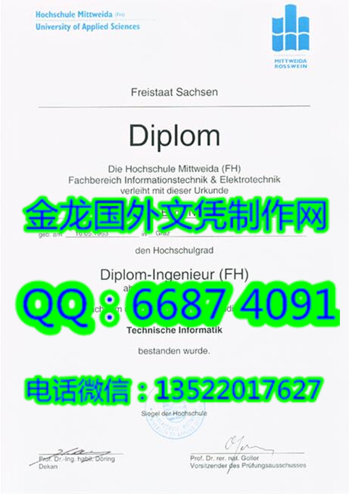 Mittweida University of Applied Sciences Diploma����ά��Ӧ�ÿƼ���ѧ��ҵ֤��