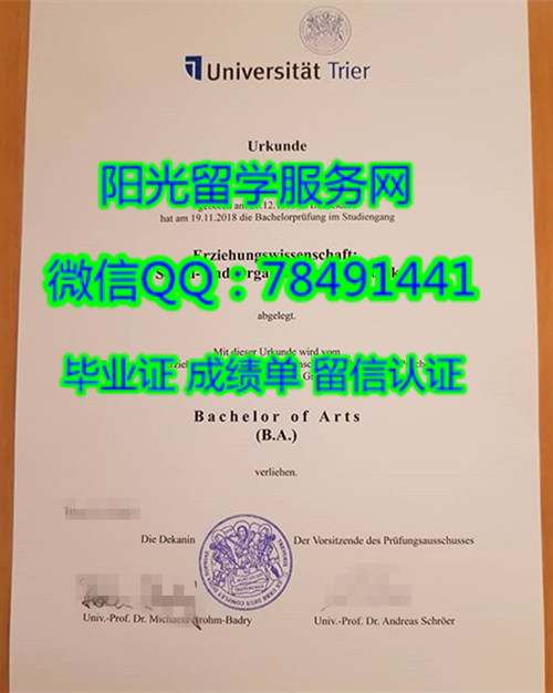 University of Trier Diploma�¹��������ѧ��ҵ֤��
