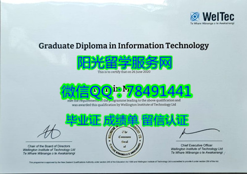 Wellington Institute of Technology Diploma���������������ѧԺ��ҵ֤��