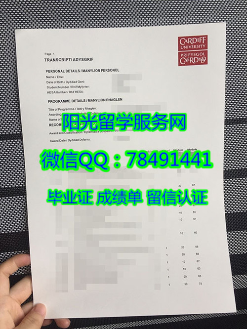 ���Ϸ��ѧ�ɼ���չʾCardiff University Diploma