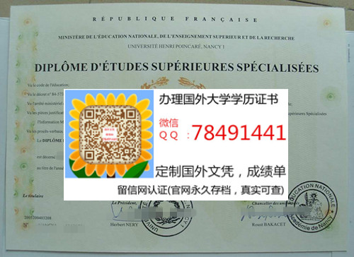 Universit�� de Nancy 1 Henri Poincar�� Diploma������һ��ѧ��ҵ֤��