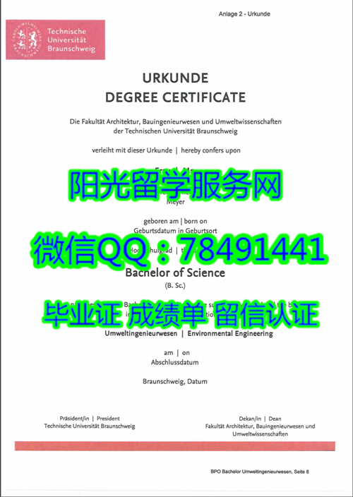 Technische Universität Carolo-Wilhelmina zu Braunschweig Diploma������˹�ҵ��ѧ��ҵ֤��