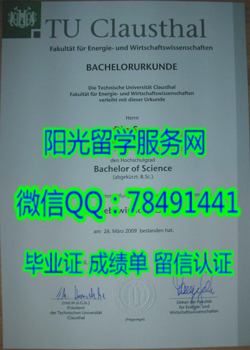 Technische Universitaet Clausthal Diploma�¹�����˹�����ѧ��ҵ֤��