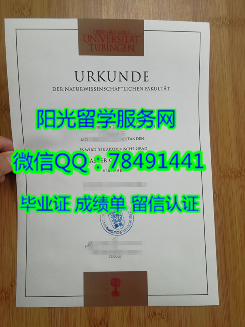 Eberhard-Karls-Universitaet Tuebingen Diplomaͼ������ѧ��ҵ֤��
