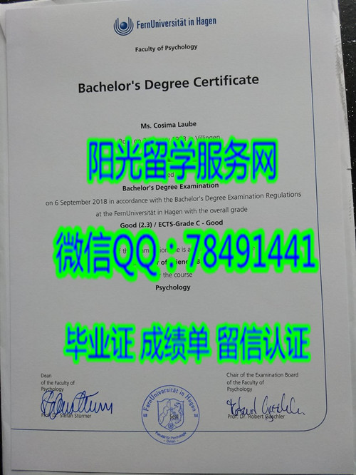 �¹�����Զ�̴�ѧ��ҵ֤FernUniversität in Hagen degree certificate diploma