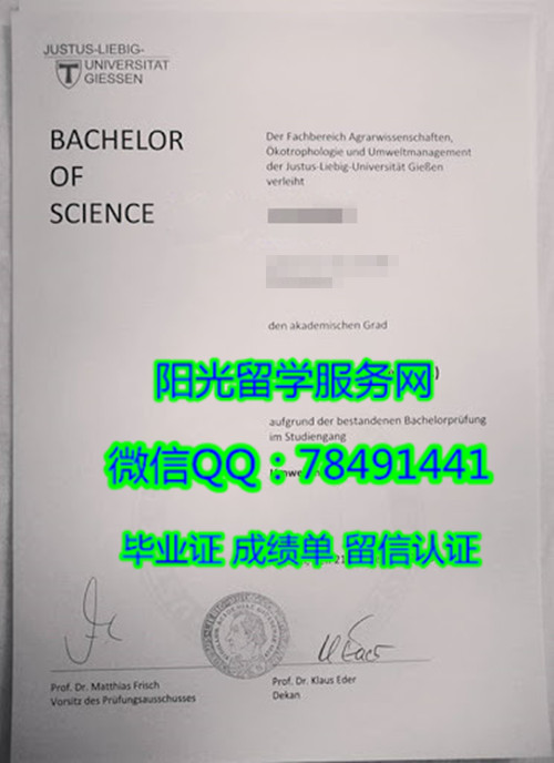 �¹���ɭ��ѧ����ѧλJustus-Liebig-Universität Gießen bachelor Diploma