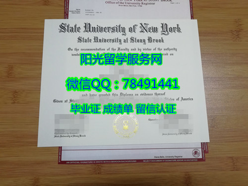 State University of New York at Stony Brook DiplomaŦԼ������ѧʯϪ��У��ҵ֤��